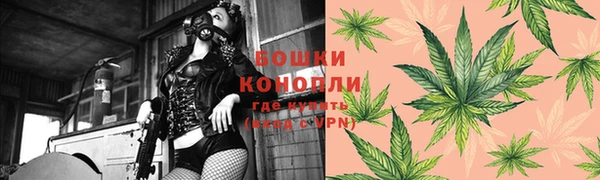 прущие крисы Михайлов